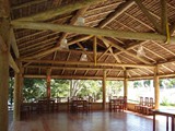 coberturas (20)